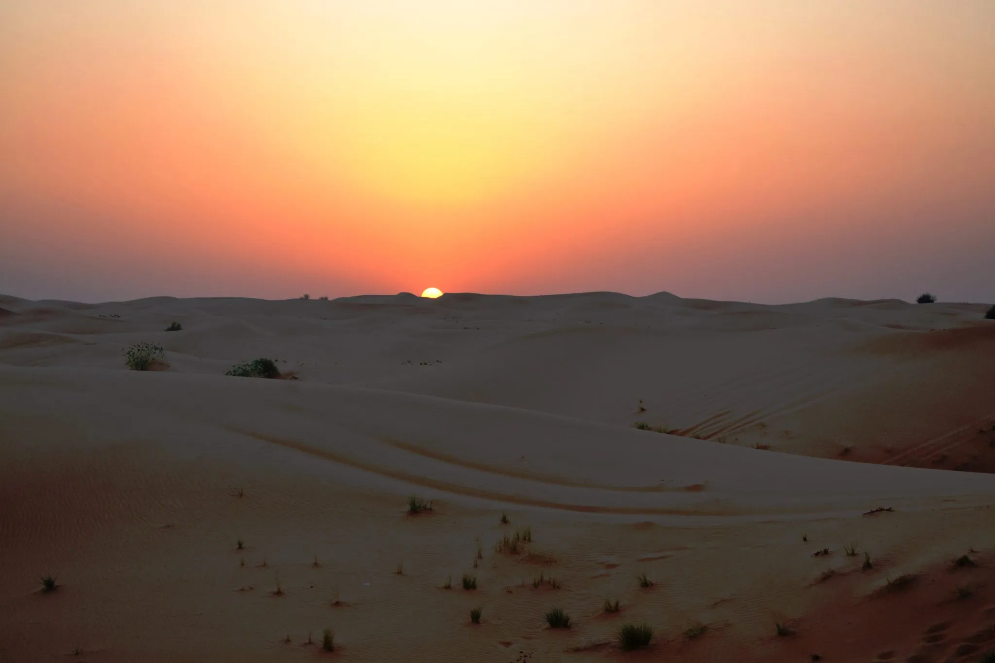 Golden sunset over the dunes during the premium safari